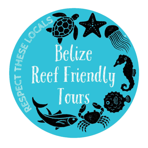 Caye Caulker Reef Friendly Tours