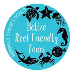 Caye Caulker Reef Friendly Tours